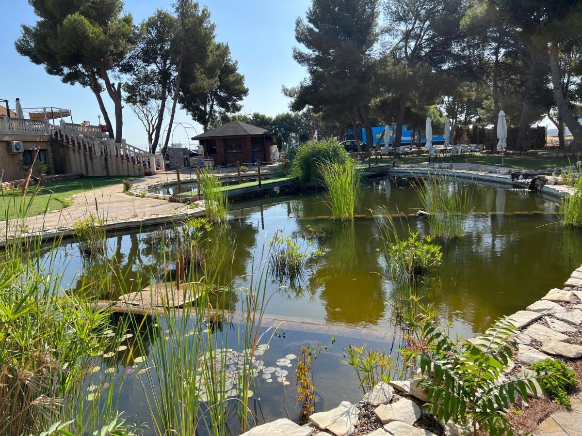 Hotel El Cisne Сарагоса Экстерьер фото
